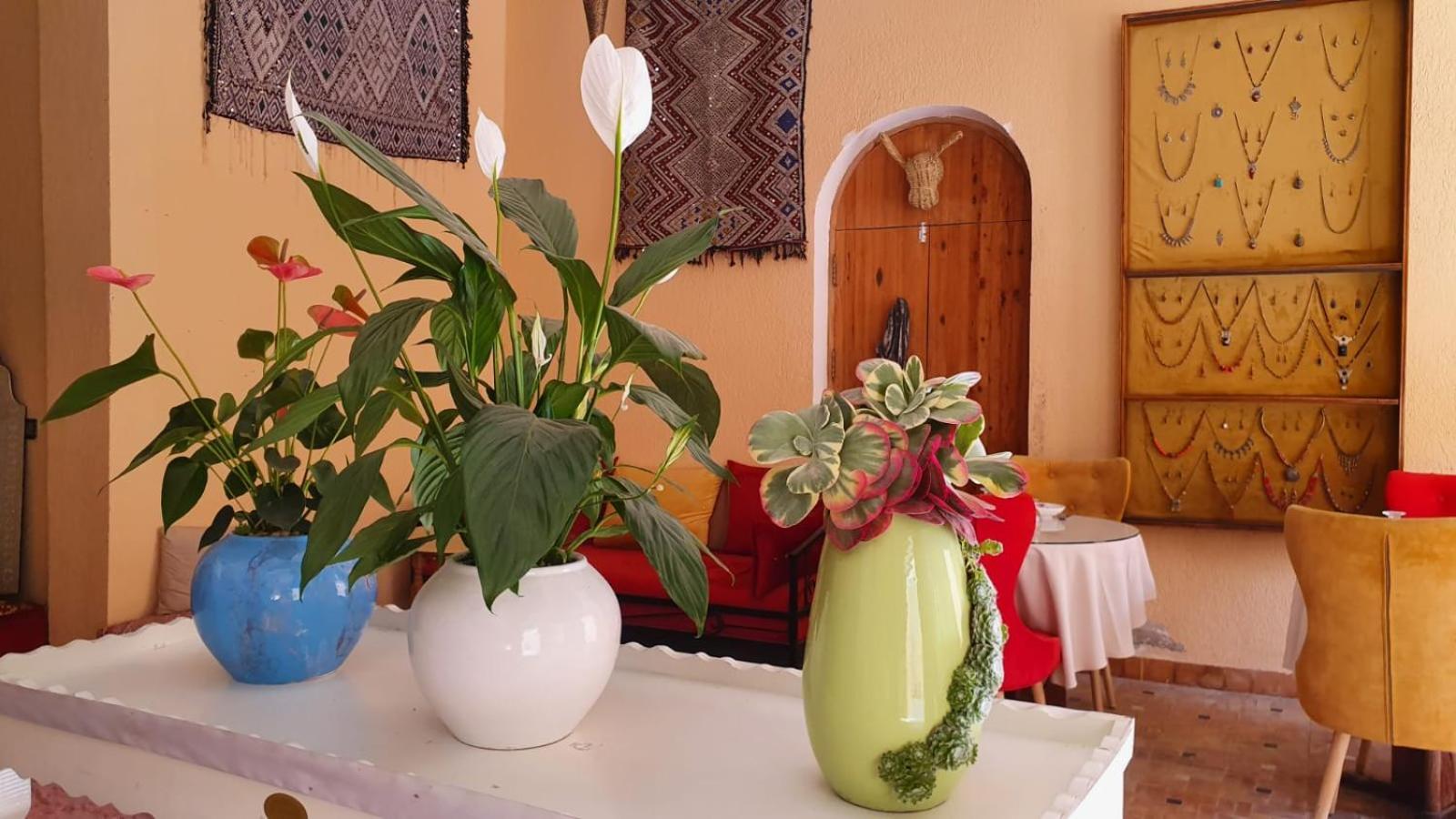 Riad Golf Stinia 2 Μεκνές Εξωτερικό φωτογραφία